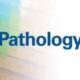 PATHOLOGY – AIM4PG