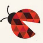 Bug Bounty Channel - Telegram Channel