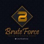 BruteForce - Telegram Channel