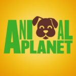 Animal planet - Telegram Channel