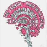Neuroscience and Psychology