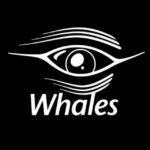 WHALES ROOM