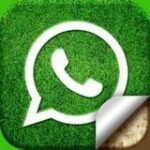 Tamil HD WhatsApp Status•Songs•Videos - Telegram Channel