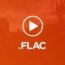 FLAC Song