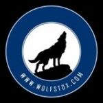 Stock Market- WolfStox - Telegram Channel