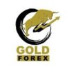 Forex Gold Expert Team